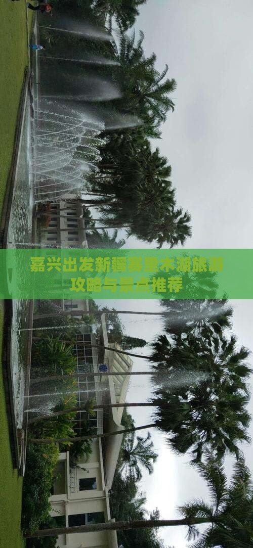 嘉兴到新疆赛里木湖自由行