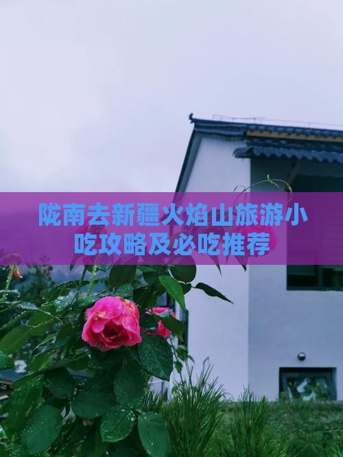 陇南去新疆火焰山旅游小吃