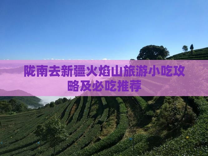 陇南去新疆火焰山旅游小吃