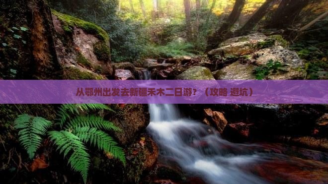 鄂州去新疆禾木二日游