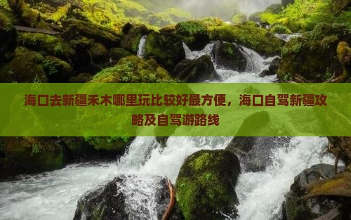 海口去新疆禾木哪里玩