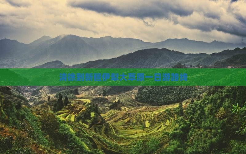 清徐到新疆伊犁大草原一日
