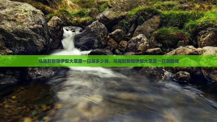 乌海到新疆伊犁大草原一日