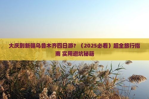 大庆到新疆乌鲁木齐四日游