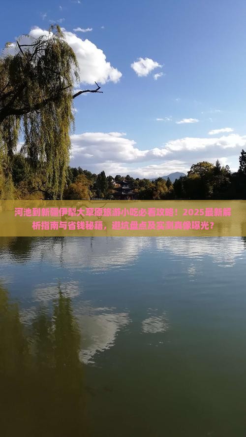 河池到新疆伊犁大草原旅游小吃