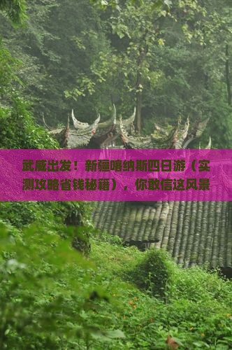 武威到新疆喀纳斯四日游 武威到新疆喀纳斯四日游