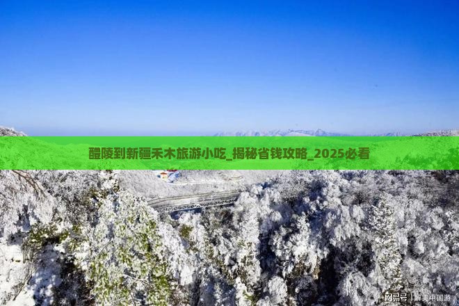醴陵到新疆禾木旅游小吃
