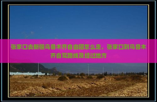 张家口去新疆乌鲁木齐自由团