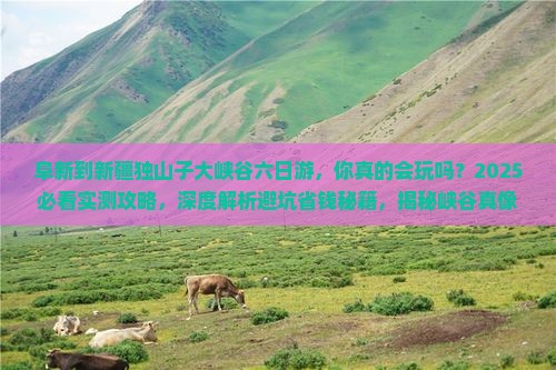阜新到新疆独山子大峡谷六日游