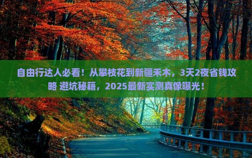 攀枝花到新疆禾木自由行