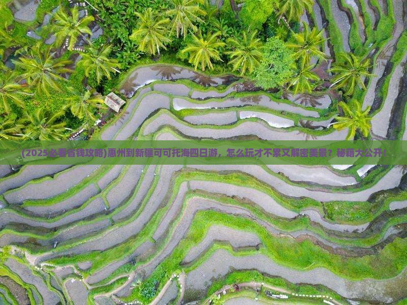 惠州到新疆可可托海四日游