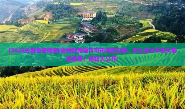 惠州到新疆可可托海四日游
