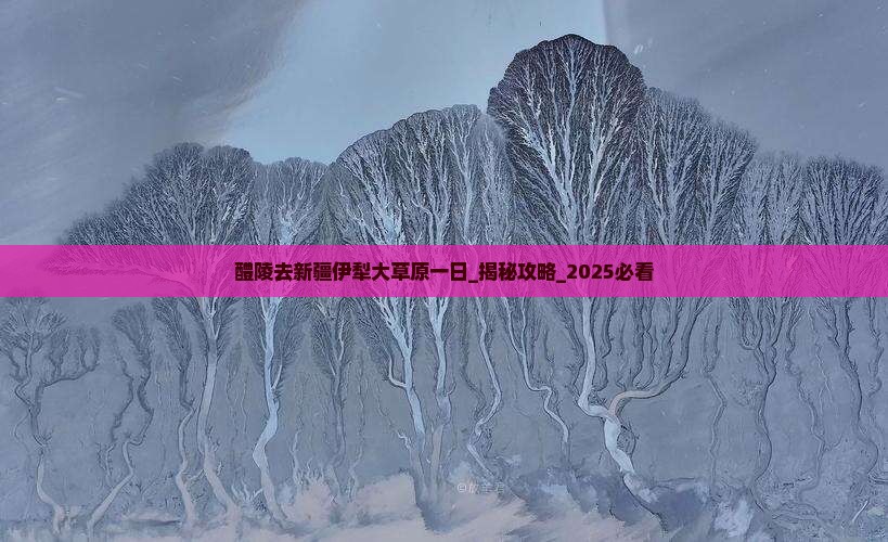 醴陵去新疆伊犁大草原一日