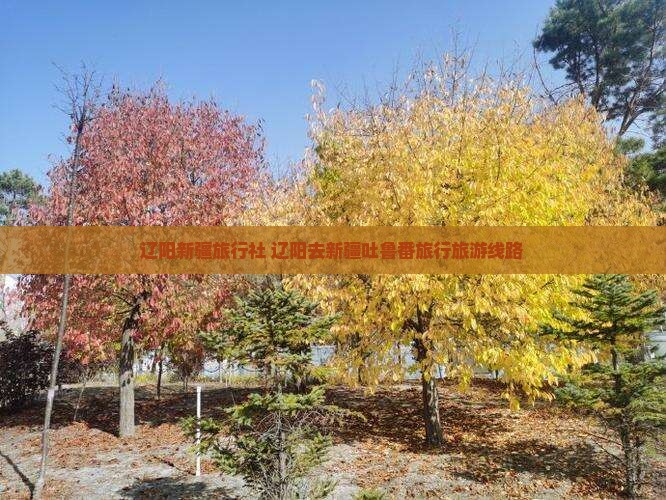 辽阳去新疆吐鲁番旅行社