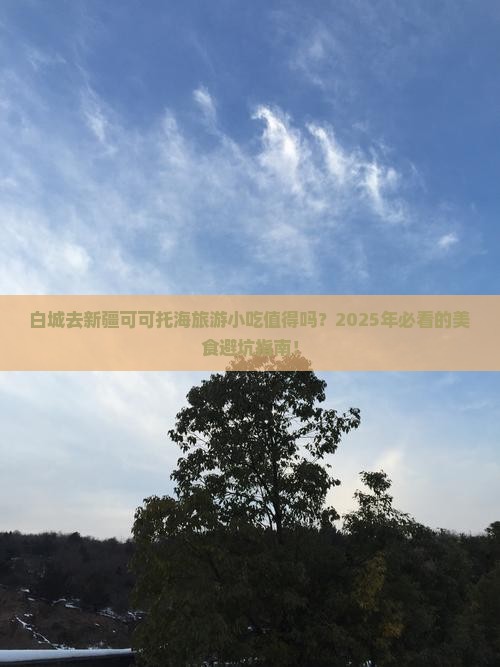 白城去新疆可可托海旅游小吃