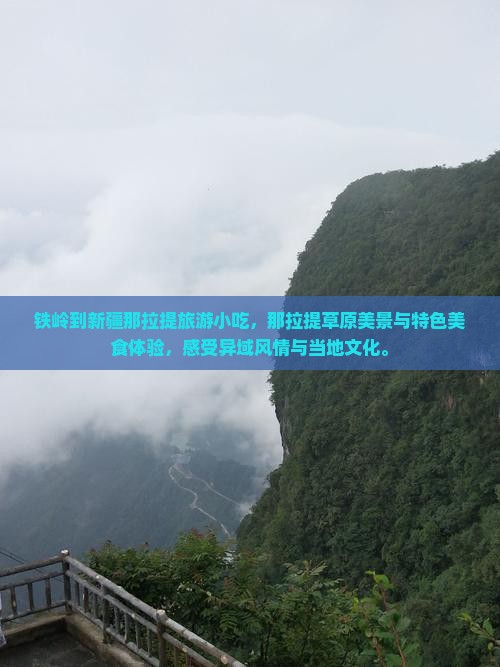铁岭到新疆那拉提旅游小吃