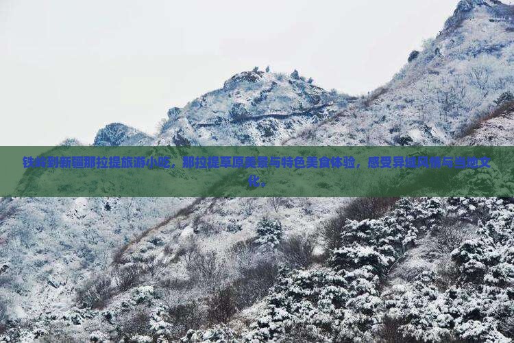 铁岭到新疆那拉提旅游小吃