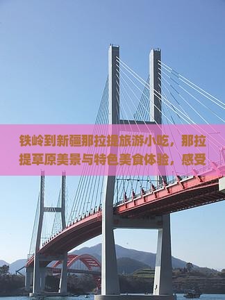 铁岭到新疆那拉提旅游小吃