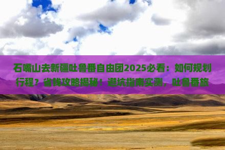 石嘴山去新疆吐鲁番自由团