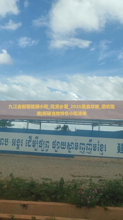 九江去新疆旅游小吃