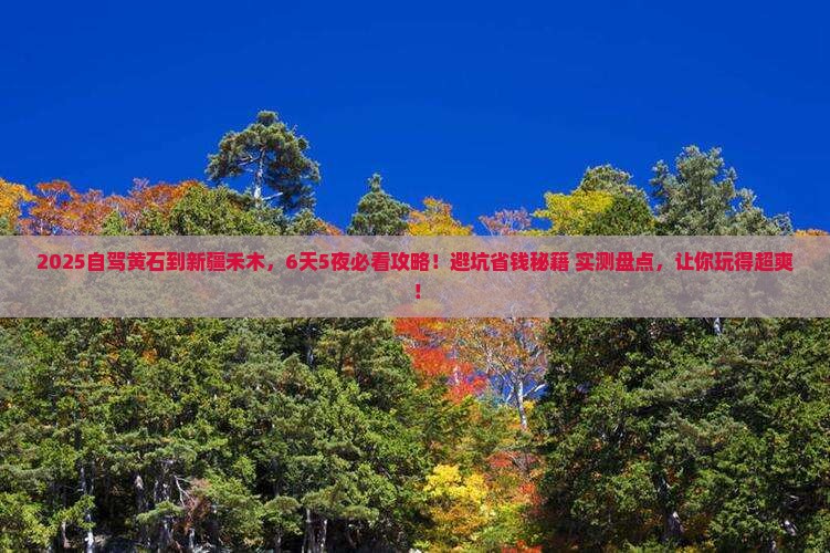 黄石到新疆禾木哪里玩