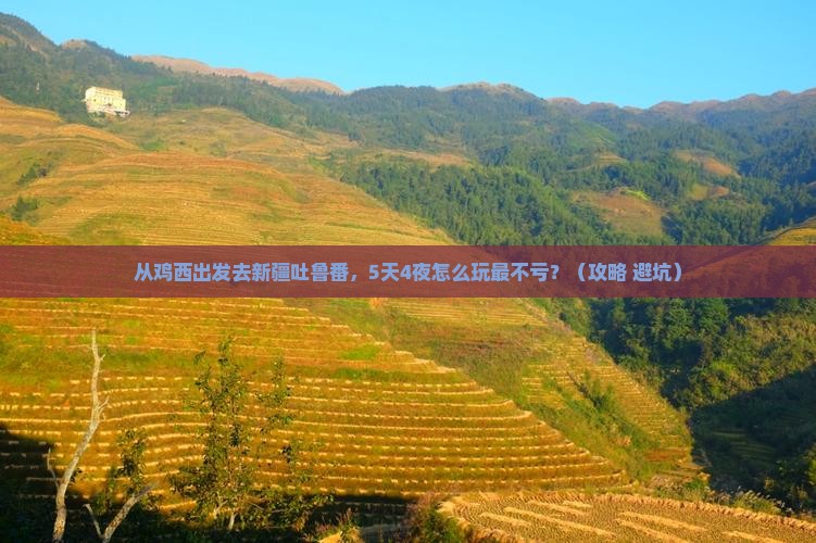鸡西去新疆吐鲁番大型旅游团