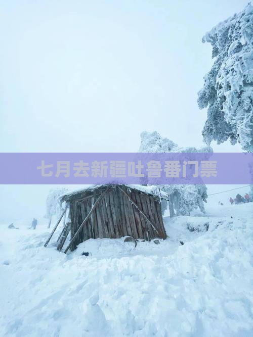 七月去新疆吐鲁番门票