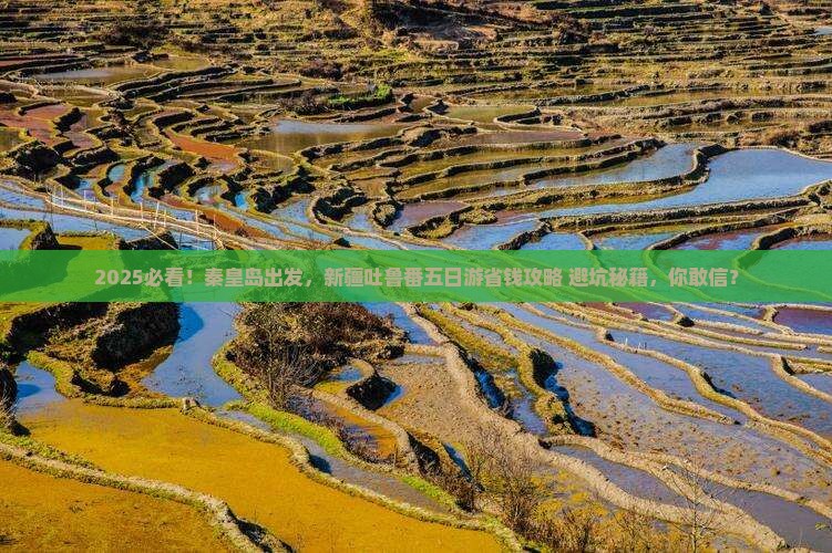 秦皇岛去新疆吐鲁番五日游