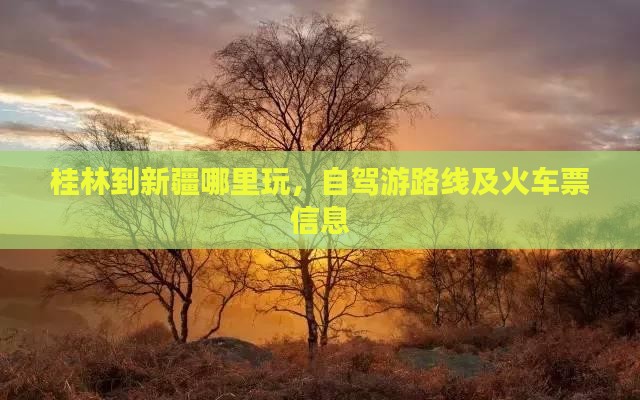 桂林到新疆哪里玩
