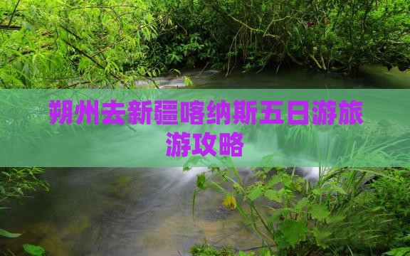 朔州去新疆喀纳斯五日游