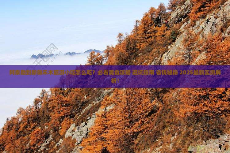 阿泰勒到新疆禾木旅游小吃