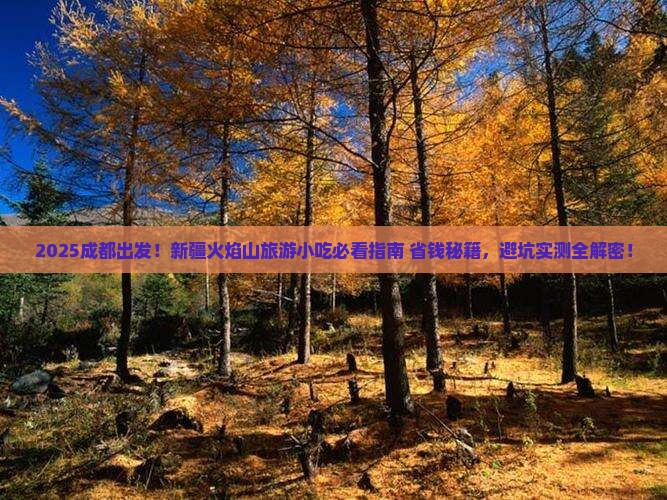 成都到新疆火焰山旅游小吃