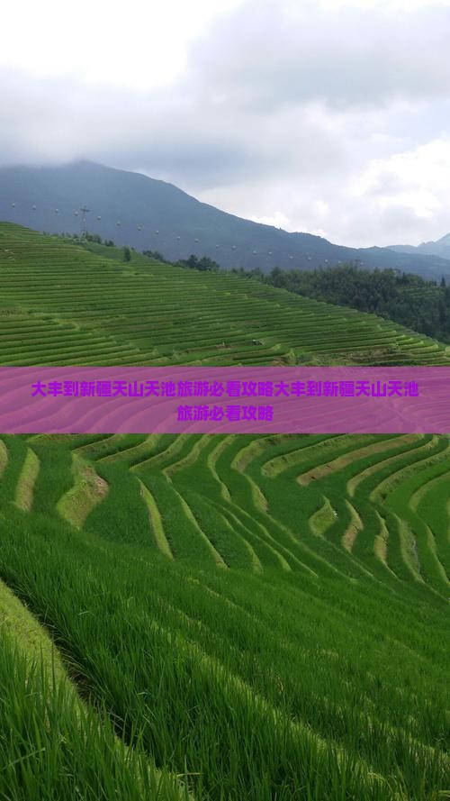 大丰到新疆天山天池旅游