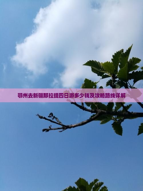鄂州去新疆那拉提四日游