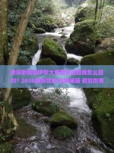 迪庆到新疆伊犁大草原景点