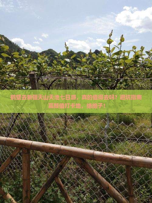 鹤壁去新疆天山天池七日游