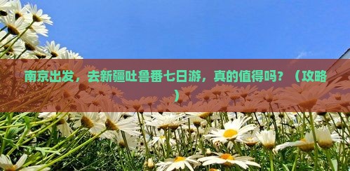 南京到新疆吐鲁番七日游