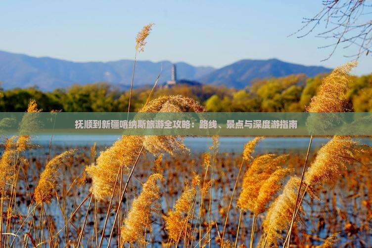 抚顺到新疆喀纳斯自由行