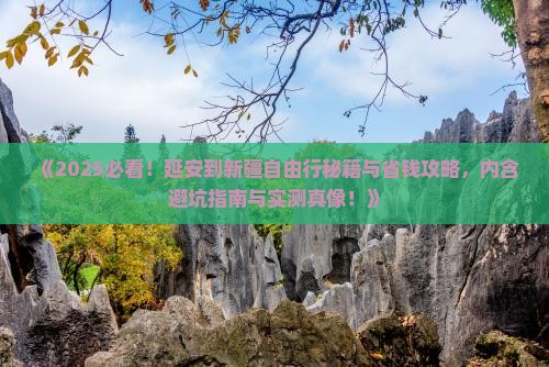 延安去新疆自由团