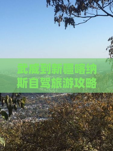 武威去新疆喀纳斯个人游
