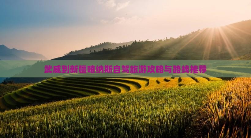 武威去新疆喀纳斯个人游