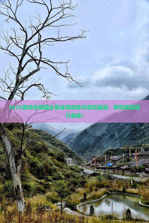 潍坊去新疆门票
