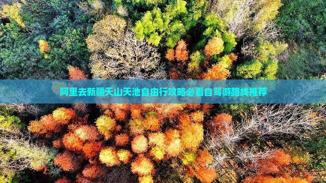 阿里去新疆天山天池自由行