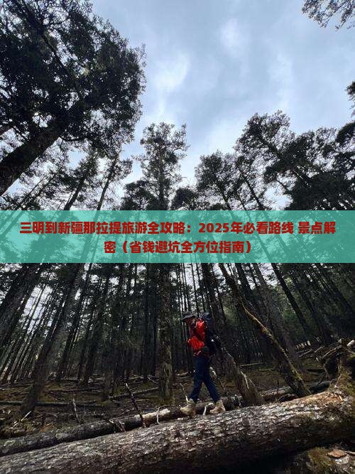 三明去新疆那拉提团体旅游