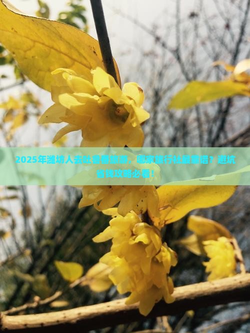 潍坊去新疆吐鲁番旅行社