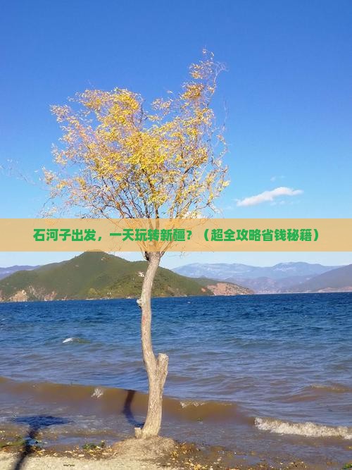 石河子到新疆一日