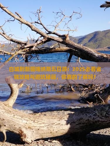 白城到新疆喀纳斯五日游