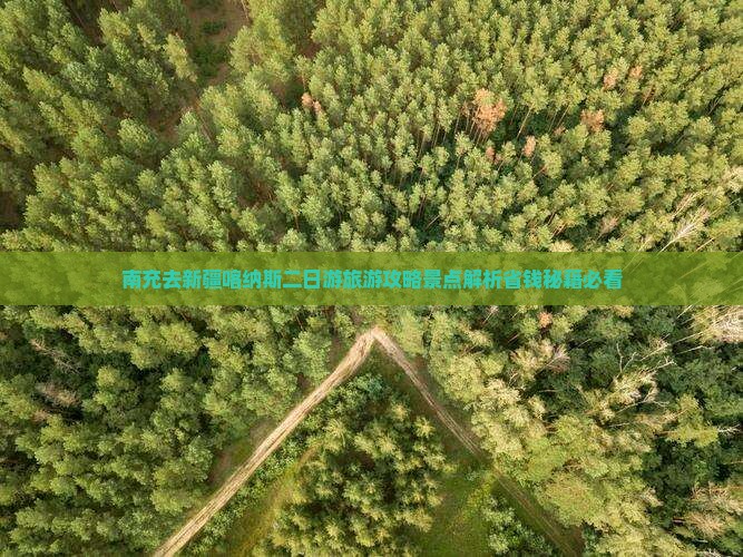 南充去新疆喀纳斯二日游
