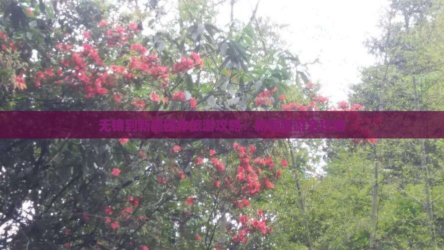 无锡到新疆团体旅游