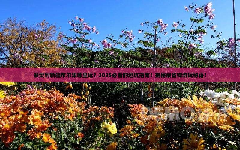 襄樊到新疆布尔津哪里玩